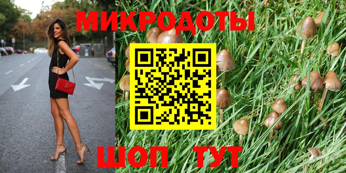 Псилоцибиновые грибы GOLDEN TEACHER  Псилоцибиновые грибы ЛСД  Ульяновск  Вход с VPN 